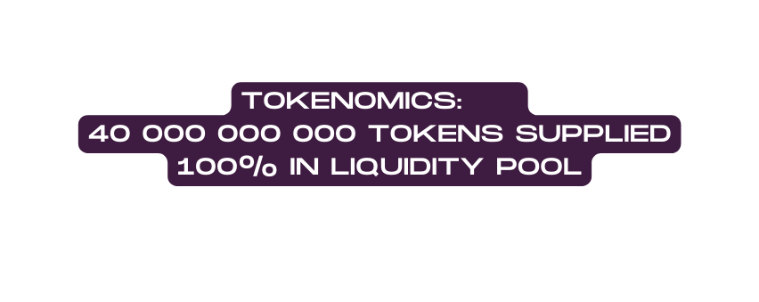 Tokenomics 40 000 000 000 tokens supplied 100 in liquidity pool